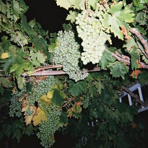 美女裸体㊙️无遮挡放屁
